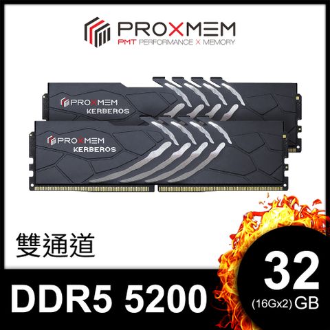 博德斯曼 PROXMEM KERBEROS地獄犬散熱片系列 DDR5 5200/CL40 32GB(雙通16GBx2) 桌上型超頻記憶體(PGD5U52A40XX7-K0WC)