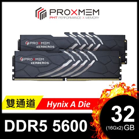 博德斯曼 PROXMEM KERBEROS地獄犬散熱片系列 DDR5 5600/CL36 32GB(雙通16GBx2) 桌上型超頻記憶體(Hynix A Die)(PGD5U56A36XX7-K0WC)