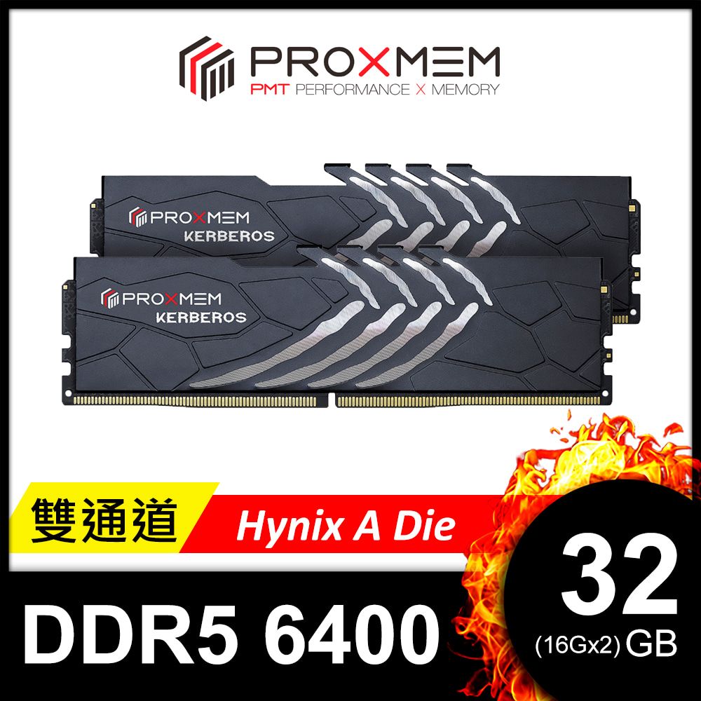 PROXMEM 博德斯曼   KERBEROS地獄犬散熱片系列 DDR5 6400/CL38 32GB(雙通16GBx2) 桌上型超頻記憶體(Hynix A Die)(PGD5U64A38XX7-K0WC)