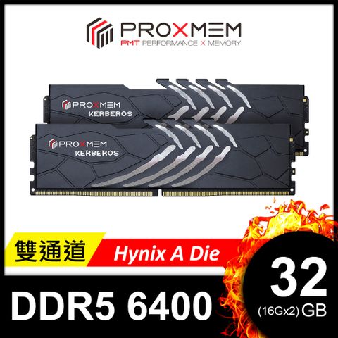 博德斯曼 PROXMEM KERBEROS地獄犬散熱片系列 DDR5 6400/CL38 32GB(雙通16GBx2) 桌上型超頻記憶體(Hynix A Die)(PGD5U64A38XX7-K0WC)