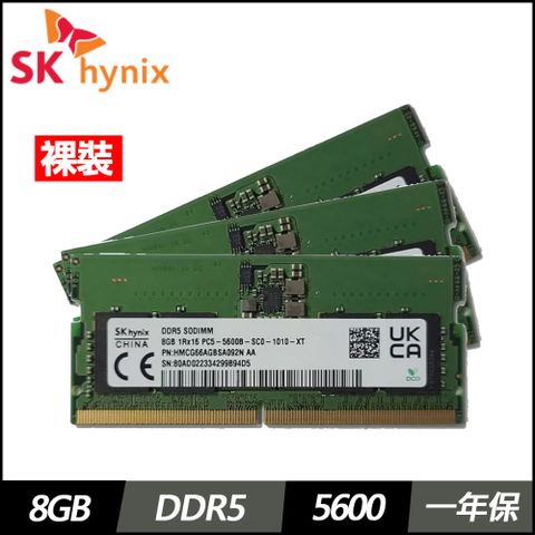 SK hynix 海力士 8G DDR5-5600(三條裸裝)
