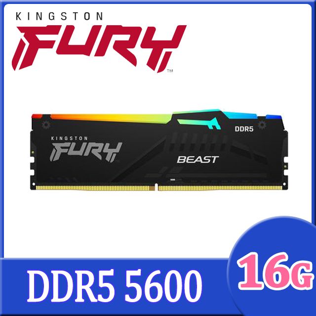 Kingston fury store 8gb