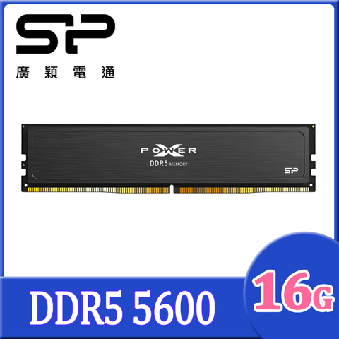 sp 廣穎 XPOWER Pulse DDR5 5600 16GBx1 桌上型超頻記憶體