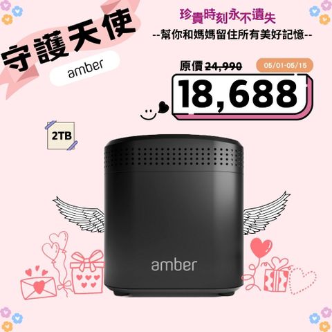 Amber私有雲端儲存裝置 內建硬碟 2TB x 2 + AC2600 Wi-Fi寬頻分享器