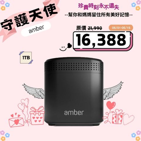 Amber私有雲端儲存裝置 內建硬碟1TB x 2 + AC2600 Wi-Fi寬頻分享器