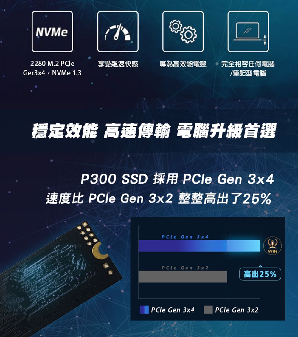 Patriot 美商博帝P300 M.2 2280 PCIe Gen.3x4 (NVMe 1.3) 1TB 固態硬碟