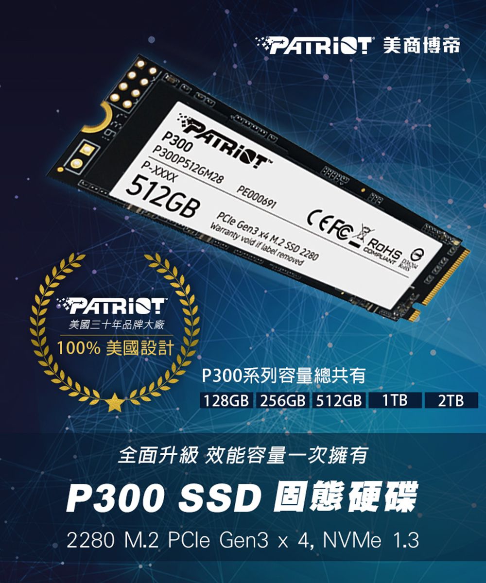 Patriot 美商博帝P300 M.2 2280 PCIe Gen.3x4 (NVMe 1.3) 512GB 固態硬