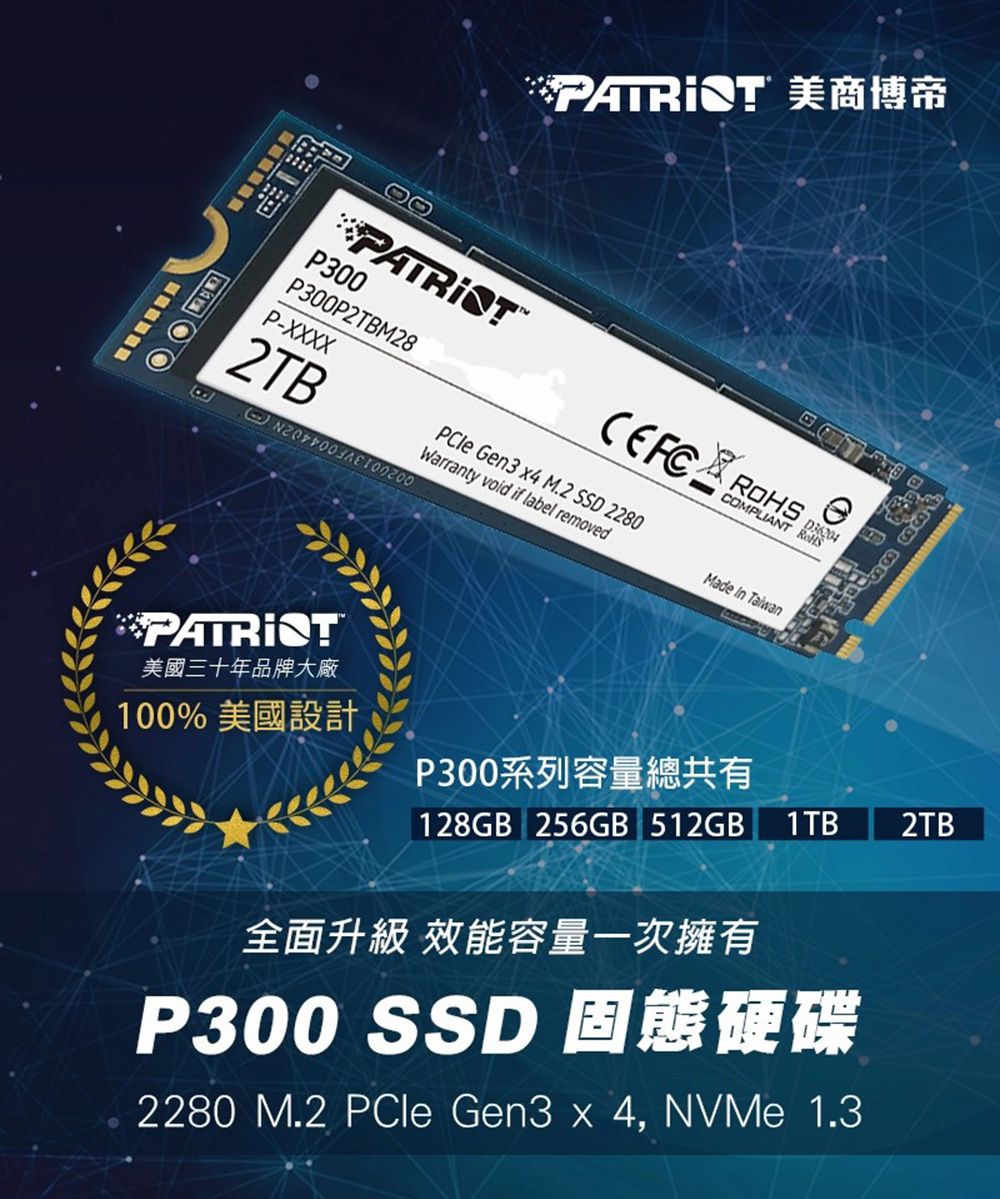 Patriot 美商博帝P300 M.2 2280 PCIe Gen.3x4 (NVMe 1.3) 2TB 固態硬碟