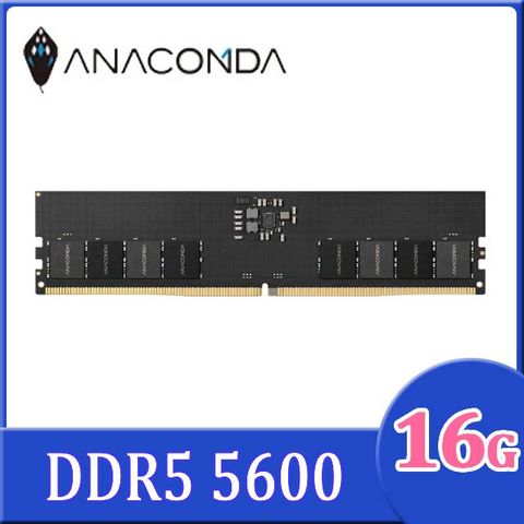 ANACOMDA巨蟒 DRAM DDR5 5600MHz UDIMM 16GB 桌上型記憶體
