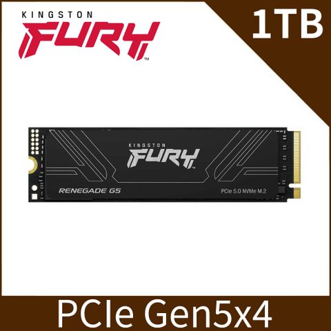 金士頓 Kingston FURY Renegade G5 1TB PCIe 5.0 NVMe M.2 SSD (SFYR2S/1T0)