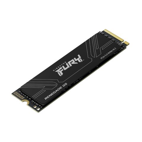 金士頓 Kingston FURY Renegade G5 2TB PCIe 5.0 NVMe M.2 SSD (SFYR2S/2T0)