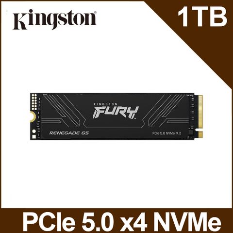 Kingston 金士頓 FURY Renegade G5 1TB PCIe 5.0 NVMe M.2 SSD (SFYR2S/1T0)