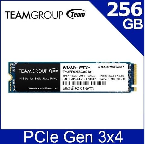TEAM 十銓 MP33 256GB M.2 PCIe SSD 固態硬碟