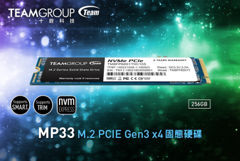 DISQUE DUR INTERNE SSD M.2 TEAMGROUP MP33 / 256 GO - KOTECH