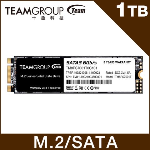 【福利品】TEAM十銓 MS30 M.2-2280 SATAIII 1TB 固態硬碟 (9.9成新)