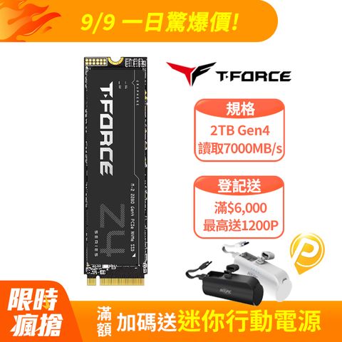 【TEAM 十銓】 T-FORCE Z44A7Q  2TB M.2 PCIe Gen4固態硬碟