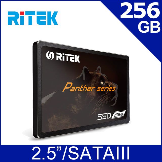 RIDATA 錸德 RITEK 256GB SATA-III 2.5吋 SSD固態硬碟