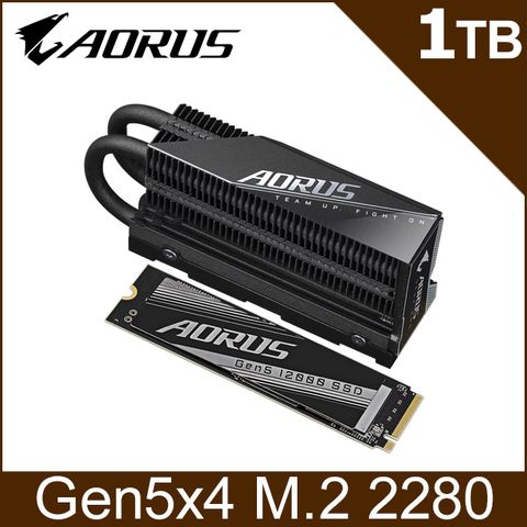 AORUS技嘉 12000 Gen5 1TB PCIe SSD固態硬碟(AG512K1TB)