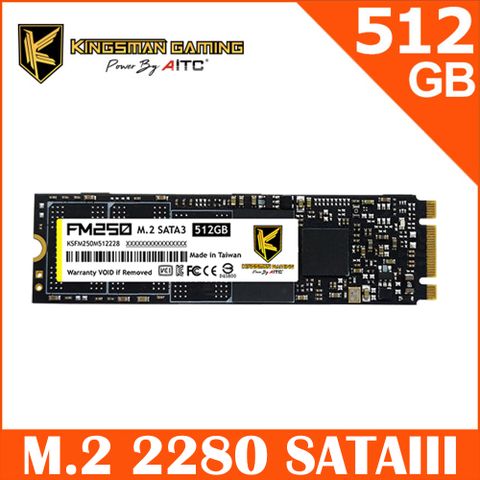 AITC 艾格 FM250 SSD 512GB M.2 2280 SATAIII SSD 固態硬碟