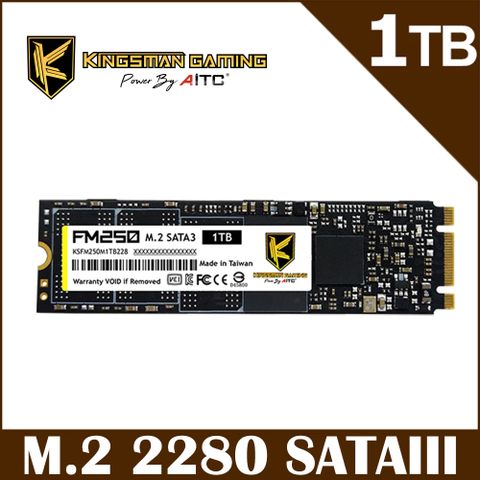AITC KINGSMAN FM250 M.2 SATA SSD 1TB 固態硬碟