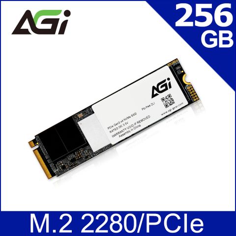 AGI 亞奇雷 AI198系列 256GB PCIe SSD 固態硬碟
