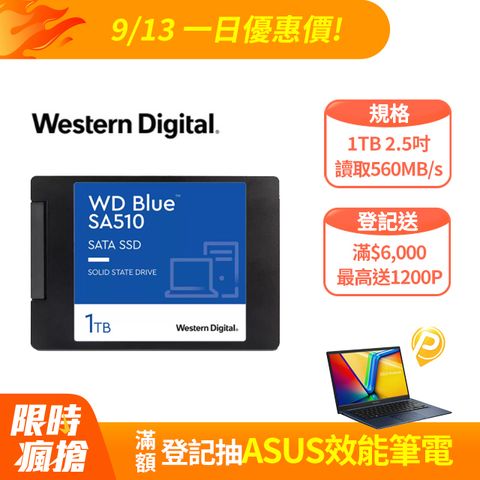 WD BLUE藍標 SA510 1TB 2.5吋 SATA SSD固態硬碟(WDS100T3B0A)