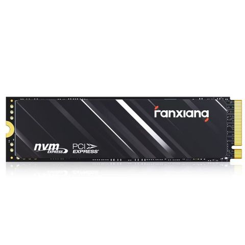 FANXIANG 梵想 SP610 500GB SSD固態硬碟 M.2 2280 PCIe Gen4x4 支援PS5