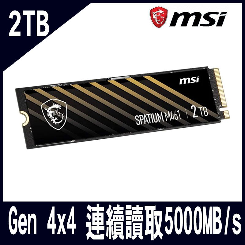 MSI微星SPATIUM M461 2TB PCIe 4.0 NVMe M.2 SSD - PChome 24h購物