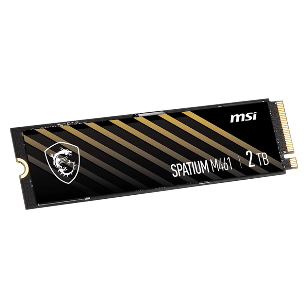 MSI微星SPATIUM M461 2TB PCIe 4.0 NVMe M.2 SSD - PChome 24h購物