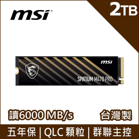 MSI 微星 SPATIUM M470 Pro 2TB Gen4 PCIe SSD