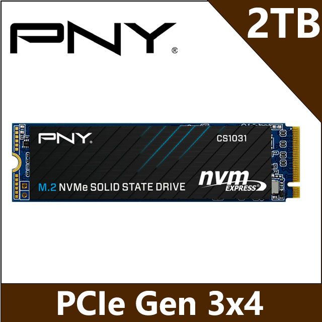 PNY CS1031 2TB M2.2280 PCIe SSD - PChome 24h購物