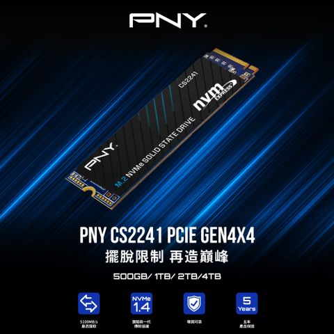 CS2241 M.2 NVMe SSD