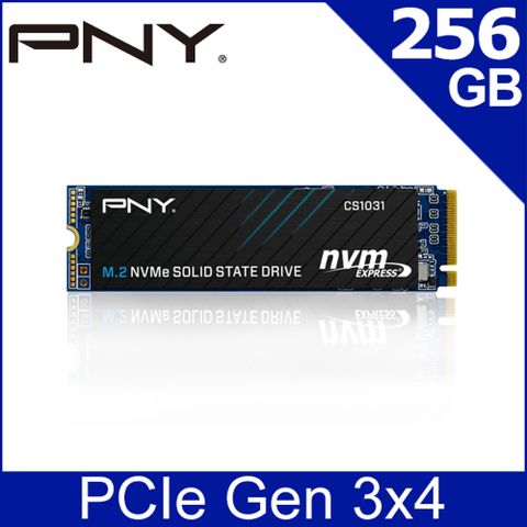 PNY CS1031 256GB M2.2280 PCIe SSD