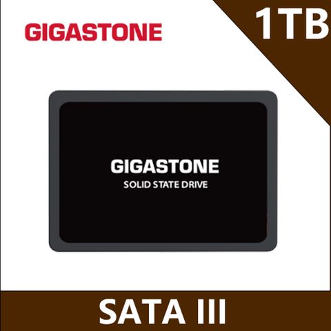 Gigastone 立達 SSD 1TB SATA III 2.5吋高效固態硬碟(最高讀取速度520MB/s / 寫入速度480MB/s)