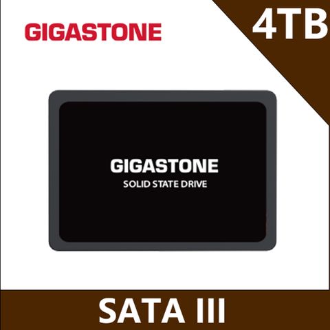 Gigastone SSD 4TB SATA III 2.5吋高效固態硬碟(最高讀取速度520MB/s / 寫入速度480MB/s)