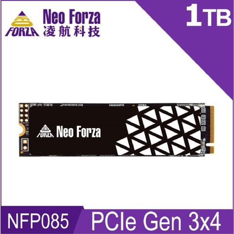 Neo Forza 凌航 NFP085 1TB Gen3 PCIe SSD固態硬碟(石墨烯散熱片)