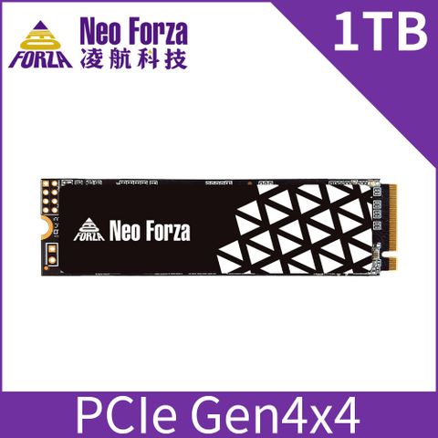 Neo Forza 凌航 NFP4V5  1TB  Gen4x4  M.2 2280 PCIe 固態硬碟