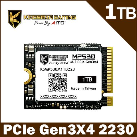 ▼升級首選 可用Steam Deck▼AITC艾格 KINGSMAN MP530 1TB M.2 2230 PCIe Gen3x4 SSD 固態硬碟