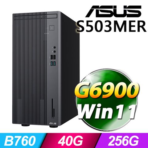 華碩 H-S503MER(G6900/40G/256G SSD/W11)(特仕機)