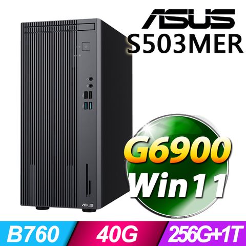 ASUS 華碩 S503MER系列 - 賽揚處理器 / 40G記憶體 / 256G+1TB SSD / Win11家用版電腦 / 180瓦電源(特仕機)