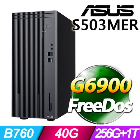 華碩 H-S503MER-0G69000010(G6900/40G/256G+1T SSD/non-OS)(特仕機)