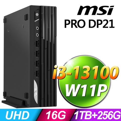 商用雙碟迷你電腦MSI PRO DP21 13M-494TW (i3-13100/16G/256SSD+1TB/W11P)