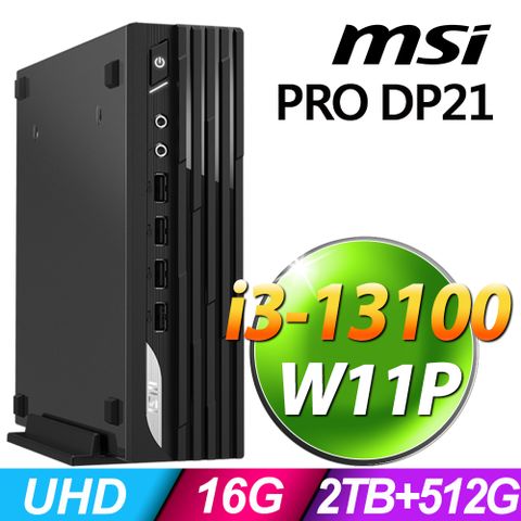 商用雙碟迷你電腦MSI PRO DP21 13M-494TW (i3-13100/16G/512SSD+2TB/W11P)