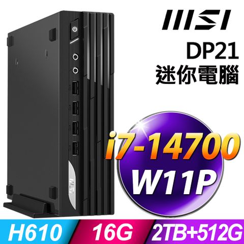 MSI 微星 PRO DP21 (i7-14700/16G/2TB+512G SSD/W11P)