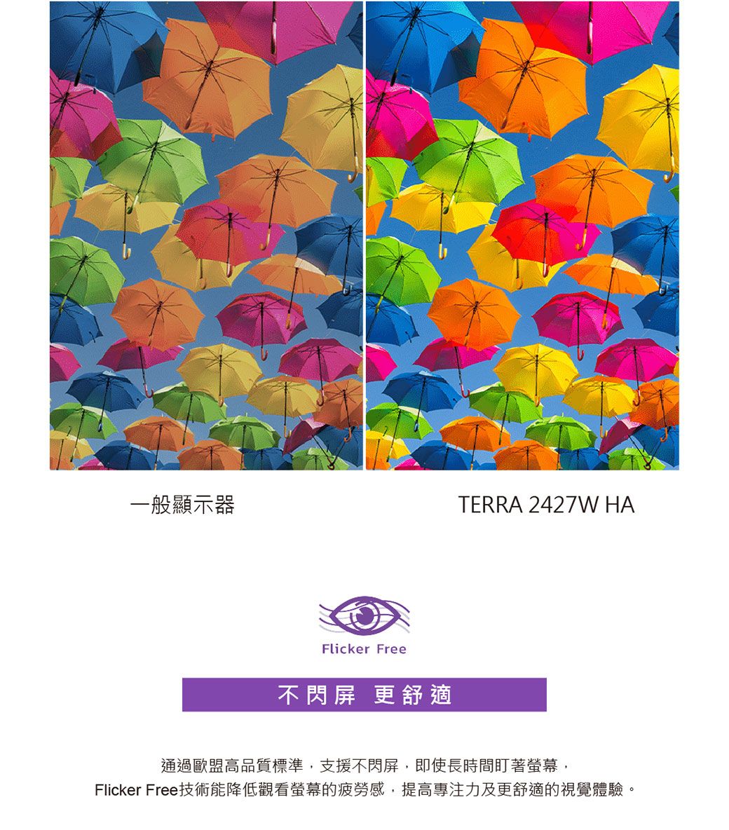 TERRA沃特曼 2427W - 詳情4