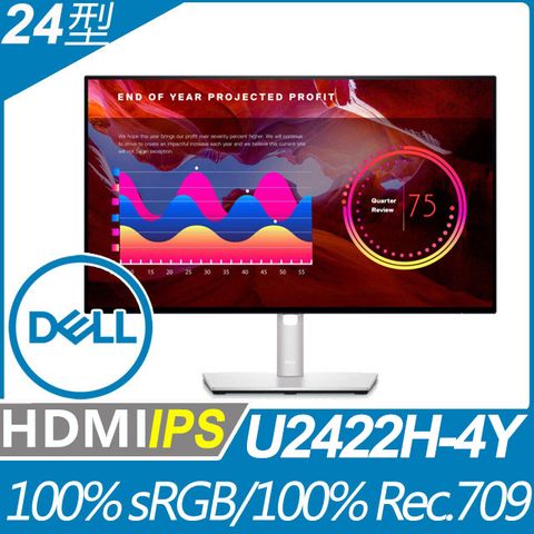 DELL U2422H-4Y萊茵護眼旋轉螢幕(24型/FHD/HDMI/IPS/Type-C)