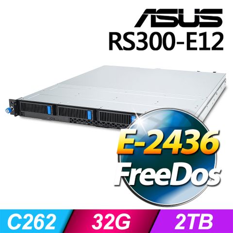 ASUS 華碩 (商用) RS300-E12 系列 -E-2436處理器/ 32G記憶體 / 2TB / FD熱抽伺服器