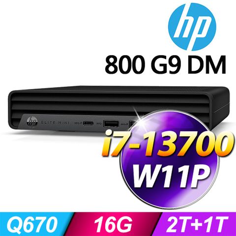 送HP無線滑鼠(商用)800G9 DM13代i7迷你商用電腦 Win11 Pro