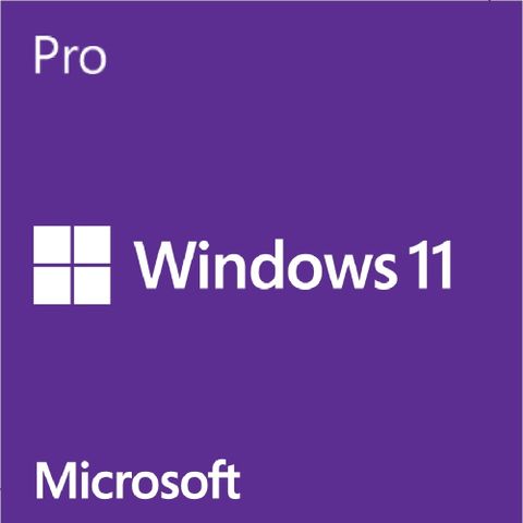 加購含安裝  Windows 11 PRO 中文專業隨機版