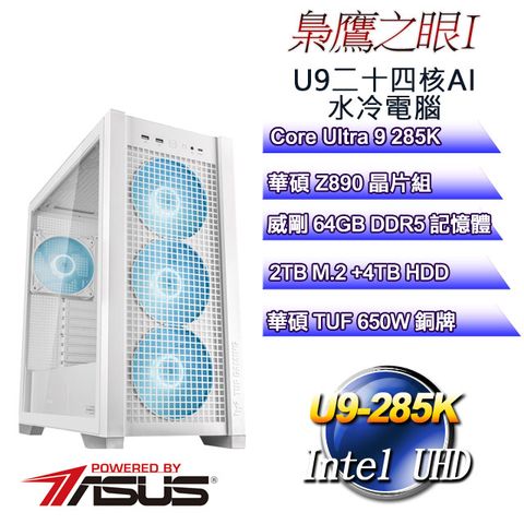 ASUS 華碩 (DIY)梟鷹之眼I(CU9-285K/Z890/64GD5/2TB M.2+4T)